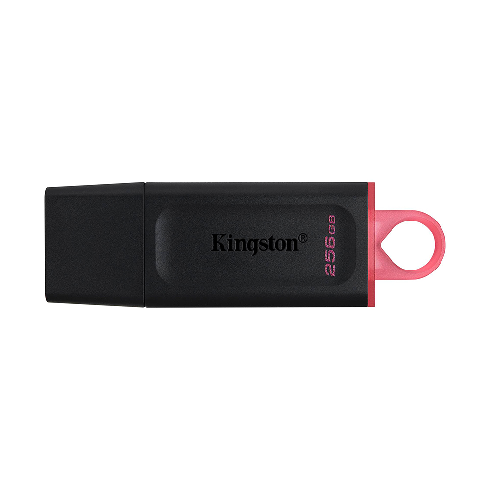 Memoria USB Kingston DTX/256GB