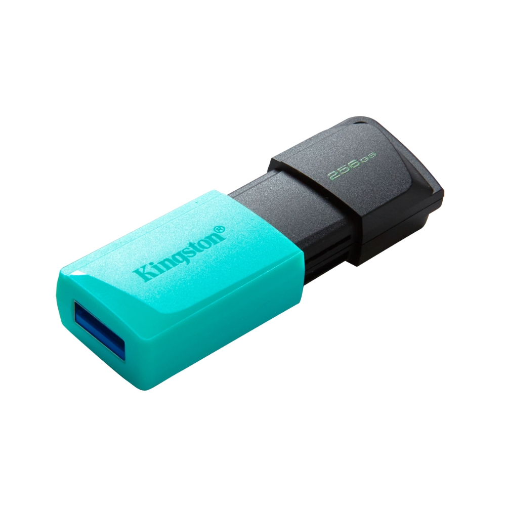 Memoria USB Kingston DXTM 256GB Turquesa