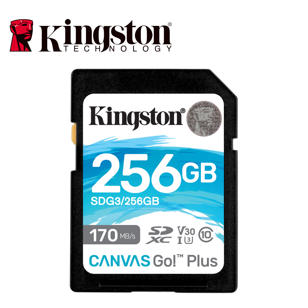 Tarjeta SD Kingston Canvas Go Plus SDG3 256 GB