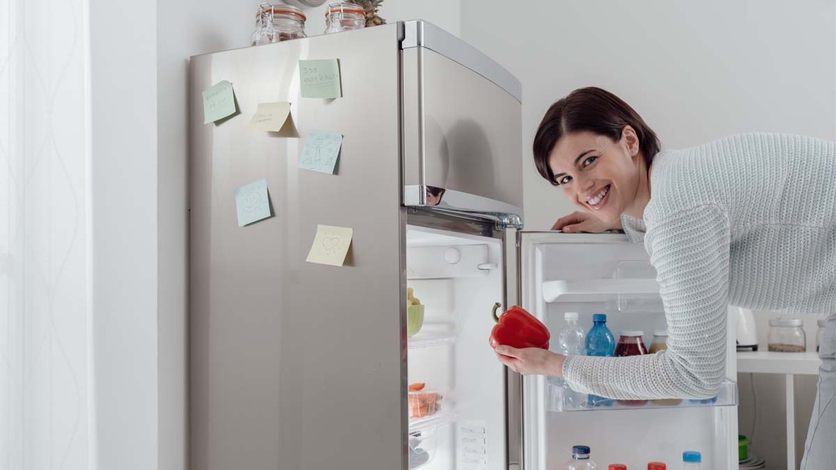 Mejores refrigeradores LG: modelos, características y precios